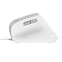 MOUSE TRUST BAYO II WHITE USB