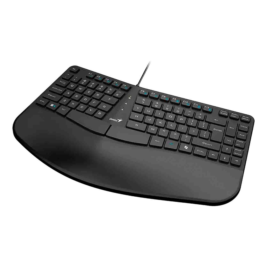 TECLADO GENIUS ERGO KB-700 USB