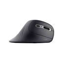 MOUSE TRUST VERRO ERGO WIRELESS USB