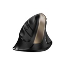 Mouse Genius Inalambrico Ergonomico Vertical 8250s Dorado
