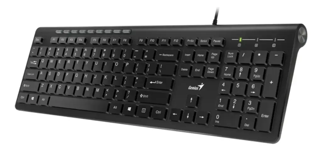 [31310048401] TECLADO GENIUS SS 230 II [13412]